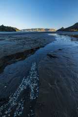 ニュージーランド　オークランドの郊外にあるフーヤ・ドメインのビーチの風景
