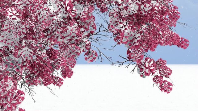 Snow Falling on sakura Trees &ndash; Minimalist Winter Animation Scene