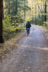 Obraz premium Path in Bialowieza Forest in Poland,autumn, Green Velo