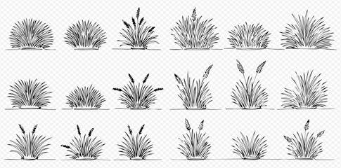 Set of hand-drawn sketch illustrations of various green bushes, grass, and cattails, perfect for garden and landscape design elements.