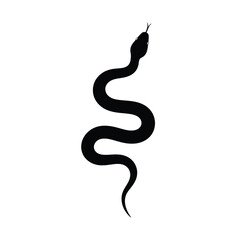 Fototapeta premium Black snake silhouette with forked tongue reptile serpent