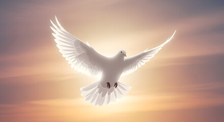 Glowing Sky with White Dove Silhouette, Symbolizing Hope and Liberation