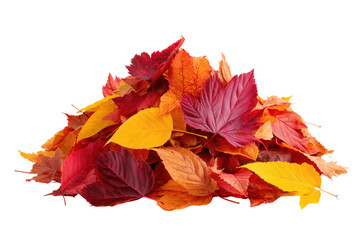 Pile of colorful autumn leaves in red orange and yellow isolated on a transparent background fall heap