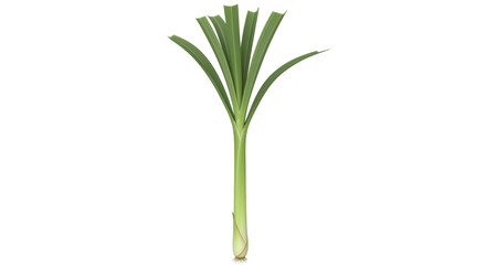 Obraz premium Isolated stalk of lemongrass for culinary and wellness uses, aromatic flavoring ingredient