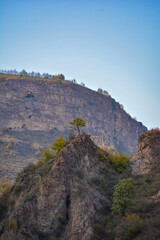 A lonely tree on a mountaintop. A tree on a cliff. A beautiful natural landscape with high mountains and a tree. A beautiful tree. Mystical nature