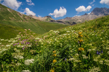 pass of lautaret,hautes alpes,france