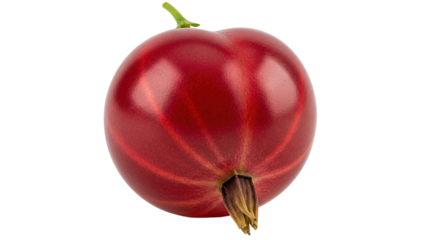 Isolated Red Gooseberry Fruit Studio Shot, Berry Vitamin Rich, Summer, Still Life