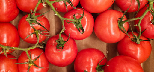 Fresh red tomatoes on the vine displayed at a local market in Andalusia, Spain. The bright color and texture emphasize natural freshness. healthy food