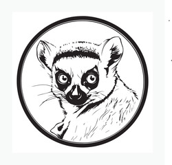 vector illustration of a lemur