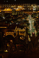 Vertical view of Haifa street illuminated by traffic lights, framed by palm trees and buildings, leading toward the port.