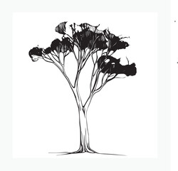vector illustration of a rainbow eucalyptus tree