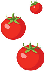 Fresh Red Tomato Illustration. Editable Color Vector