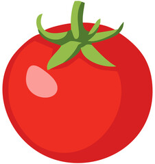 Tomato Vegetable Illustration. Editable Color Vector