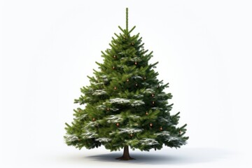 Fototapeta premium Christmas tree ornament plant.