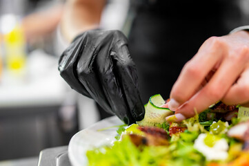 Chef hands plating gourmet salad with cucumber slices and greens in professional kitchen. Culinary...