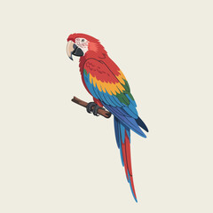 Obraz premium Vector illustration of colorful parrot perched on a branch