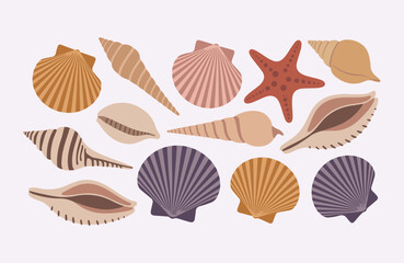 Seashells and Starfish Collection Various Shapes and Colors on Light Background