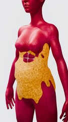 3D medical illustration of female body anatomy showing subcutaneous fat layer on belly and waist.