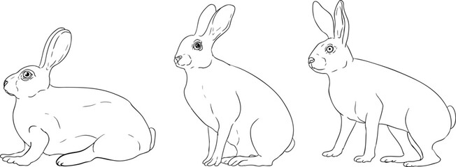 Three black-and-white line drawings of rabbits in different poses: lying, sitting, and standing, ideal for coloring.