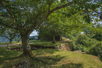 雲海の城 竹田城 城内の夏景色