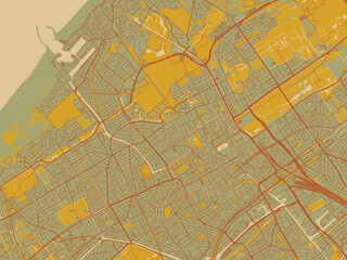 Modern flat map poster of Den Haag, Netherlands in earthy sage background with rust roadways and ochre details.