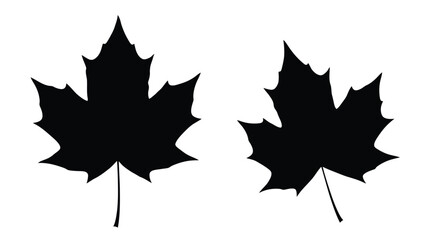 Two black silhouettes of maple leaves against a bright white background