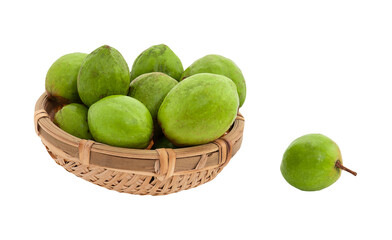 Terminalia chebula or Chebulic Myrobalans fruits on transparent background.