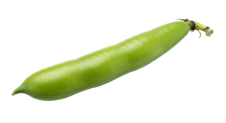 Isolated green fresh fava bean pod, healthy raw edible food vegetable ingredient on display