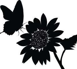 Silhouette of a Butterfly on a Sunflower