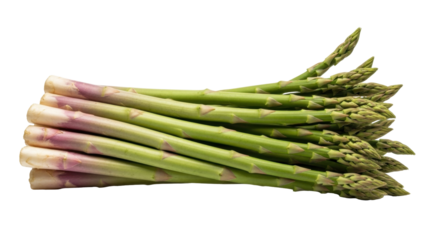 Isolated bunch of fresh asparagus spears in stack, raw green vegetable, spring season food