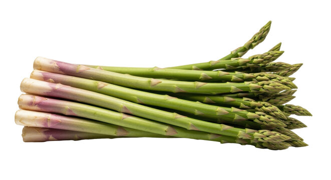 Isolated bunch of fresh asparagus spears in stack, raw green vegetable, spring season food
