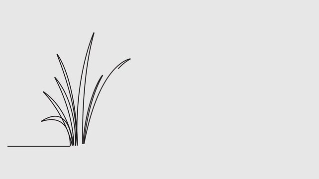 Grass in one continuous line drawing animation video