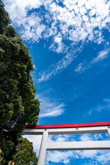 鎌倉25105　大塔宮3　秋空