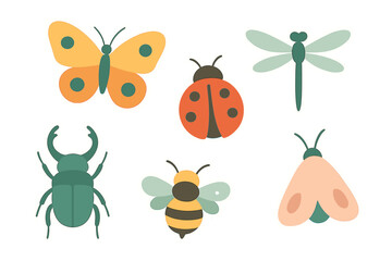 Stylized colorful flying and crawling insects and beetles set for kids education