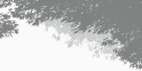 Obraz premium Abstract graphic design of overlapping grey tree leaf shadows on a white background