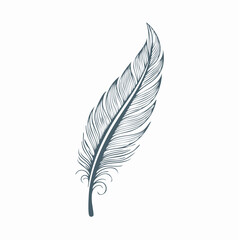 Obraz premium Elegant feather illustration on white background
