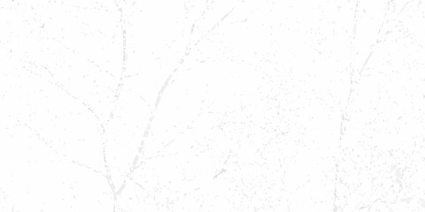 Minimalist abstract background of delicate white tree branches and scattered small particles against a bright white backdrop