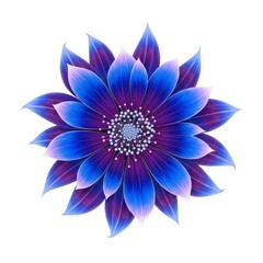 Fototapeta premium Vibrant blue and purple dahlia flower with delicate petals and white center image