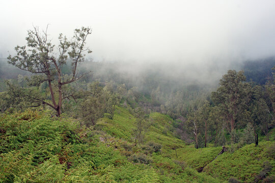 Landscape volcano Ijen, Indonesia