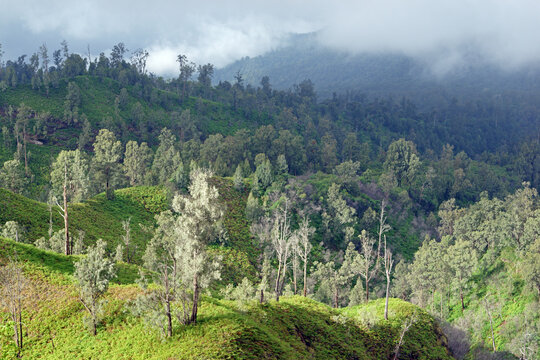 Landscape volcano Ijen, Indonesia