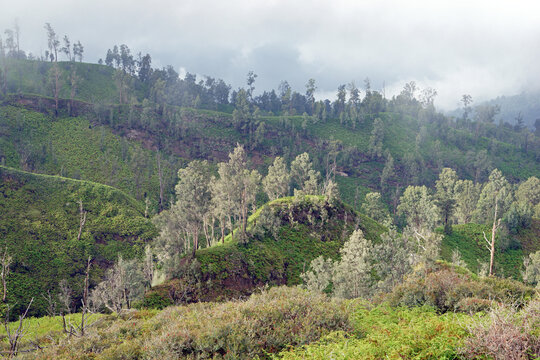 Landscape volcano Ijen, Indonesia