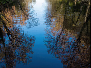 Reflection of trees on calm lake creates serene and tranquil scene, with vibrant blue water and autumn foliage