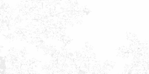 Abstract delicate white branches and leaves pattern on a clean white background