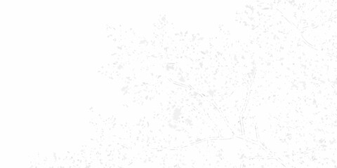 Abstract delicate white and light gray textured background with organic shapes and subtle lines