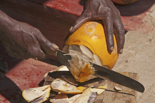 Man opens coconut, Sri Lanka, Ceylon