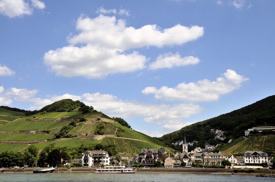 Assmannshausen, UNESCO World Heritage Cultural Landscape Upper Middle Rhine Valley, World Heritage Site, Hesse, Germany