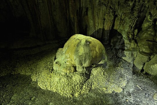 Arched turtle, calcite formation, landmark of the grotto, stalactite cave, H&ouml;llgrotten, Baar, Canton Zug, Switzerland