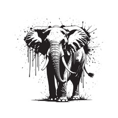 Obraz premium elephant