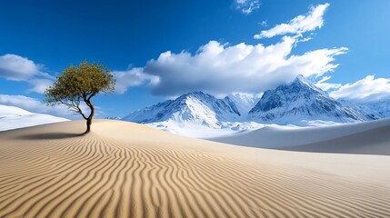 Striking Juxtaposition Lone Tree in Desert SnowCapped Mountains Under Blue Sky.