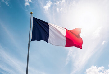 flag of france wallpaper